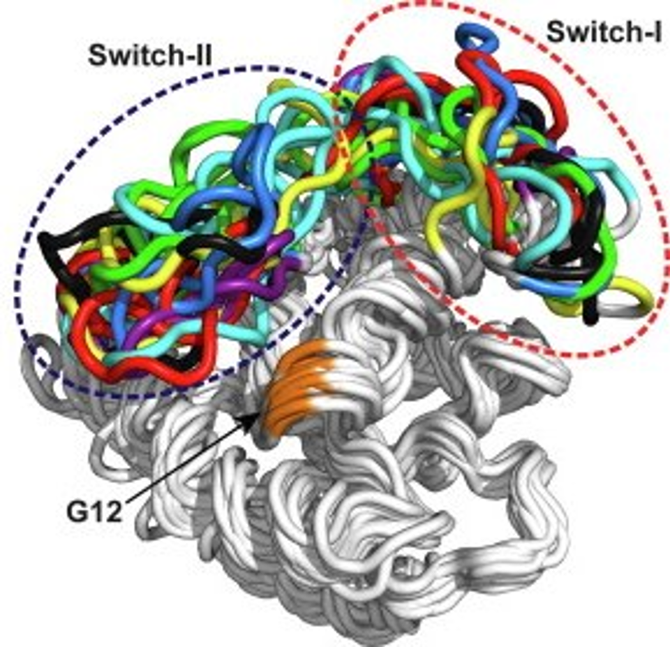 Молекулын бүтцийг загварчлах, динамикийг тооцоолох нь ямар үр ашигтай вэ?