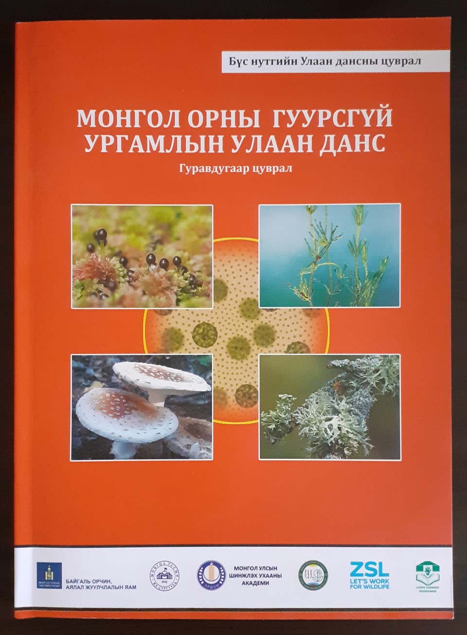 “МОНГОЛ ОРНЫ ГУУРСГҮЙ УРГАМЛЫН УЛААН ДАНС” БҮТЭЭЛИЙГ ОНЦОЛЖ БАЙНА 